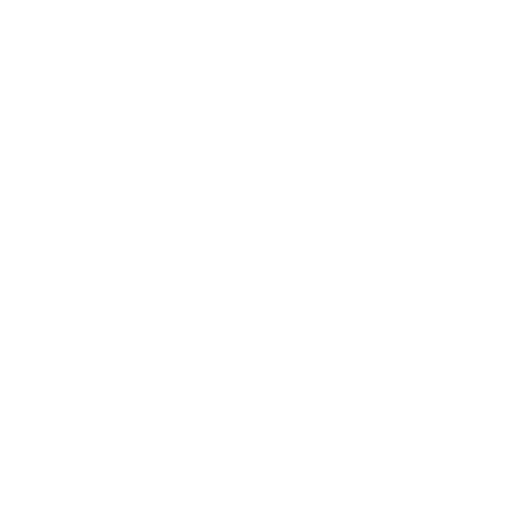 Balsillie School of International Affairs logo